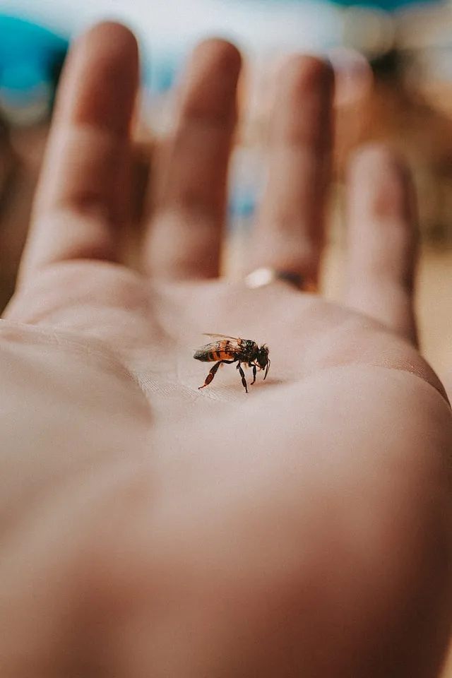 Bees are smart. How is tech making them "smarter"?